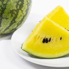 Watermelon | Tokita Seed America
