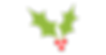 Untitled design (1).png