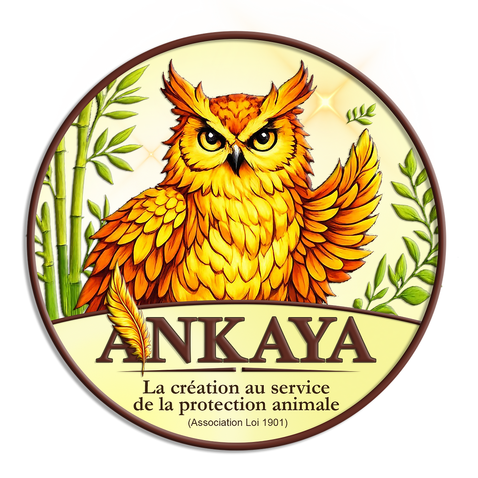 Ankaya.png