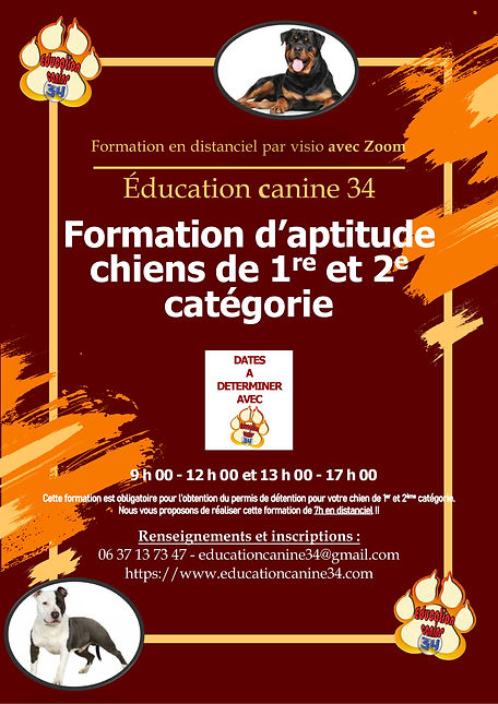Affiche formation chien cat.jpg