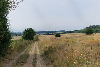 20250813_094033.jpg