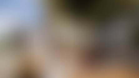 בית פרטי בנאות אפקה | NA house