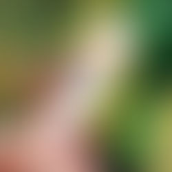 Elf+ Glow Radiant SPF Moisturizer 