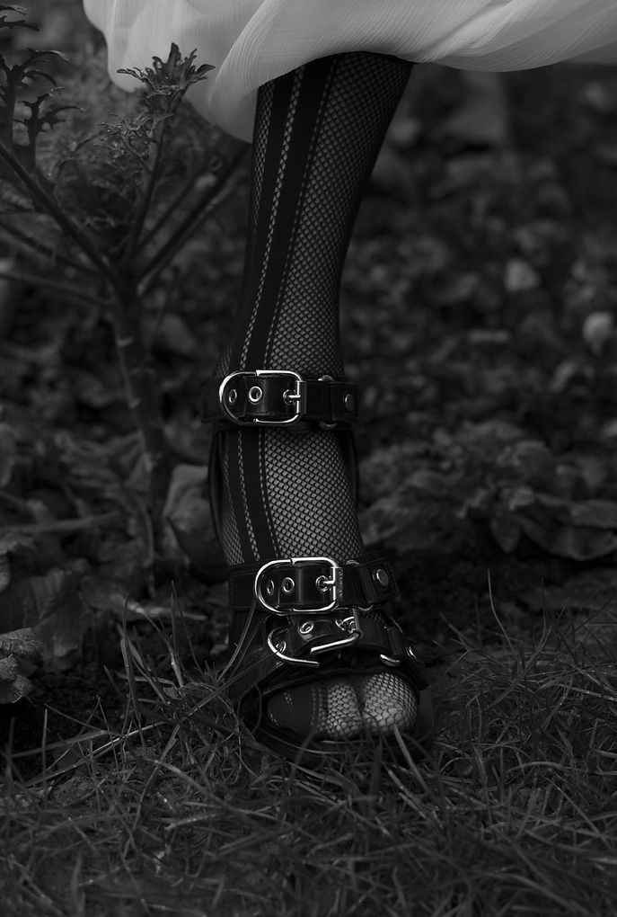 img214.jpg