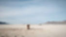BRC-TV 2015 Daytime Landscape