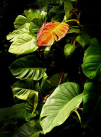 IMG_20220117_142347.jpg