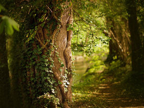 【始動】3月からはじめる新•中学3年生の中間テスト対策