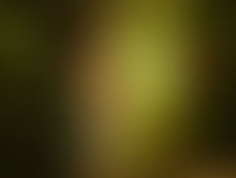 【始動】3月からはじめる新•中学3年生の中間テスト対策