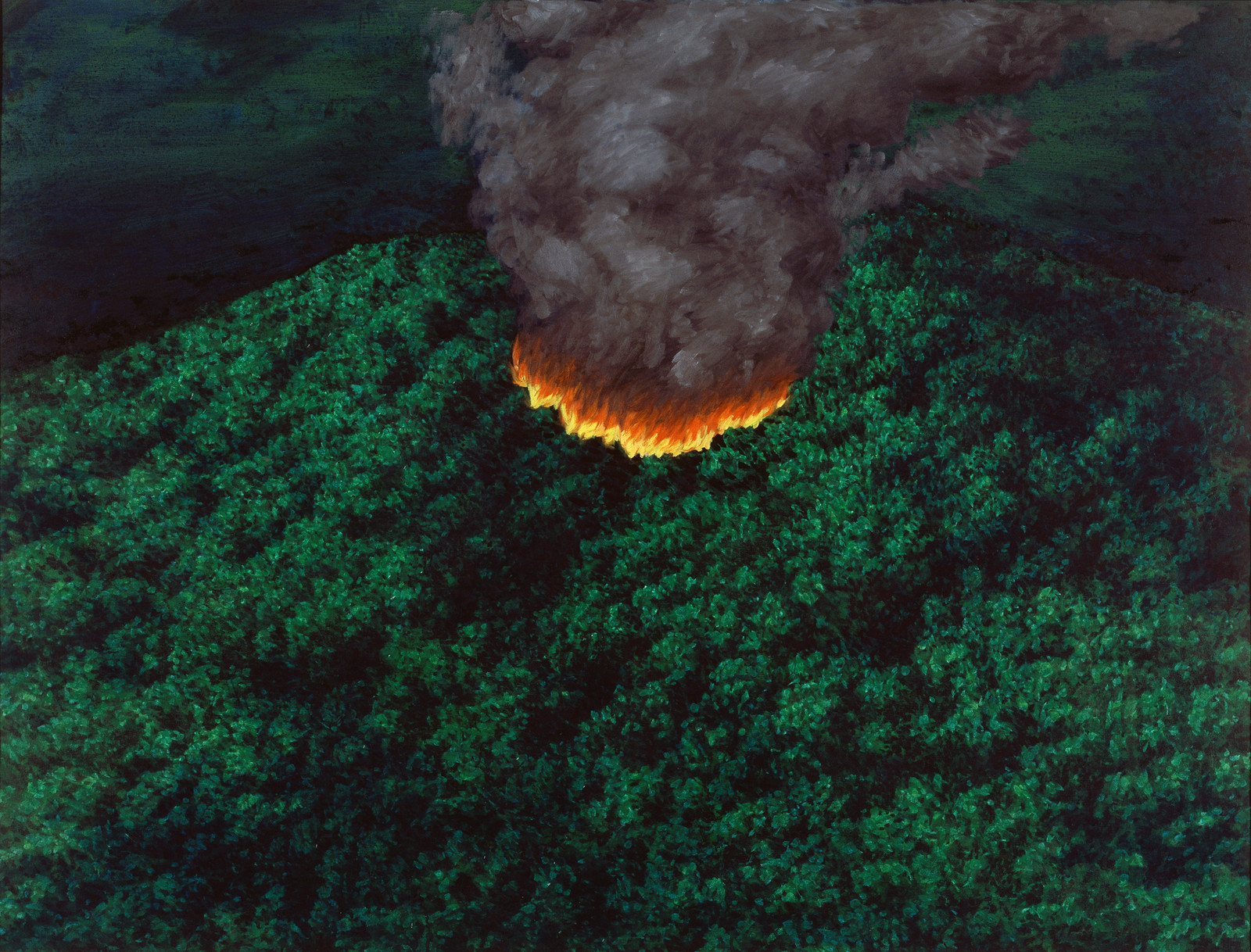 Forest Fire
