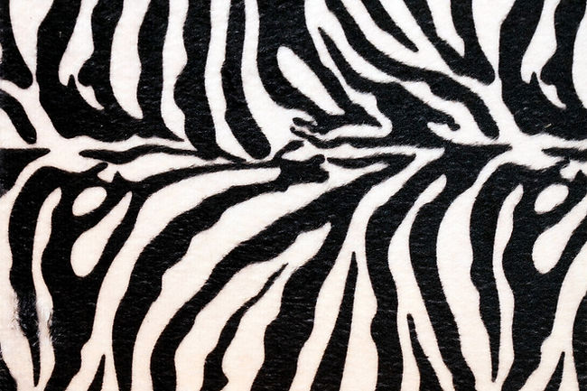 zebraprint.jpeg