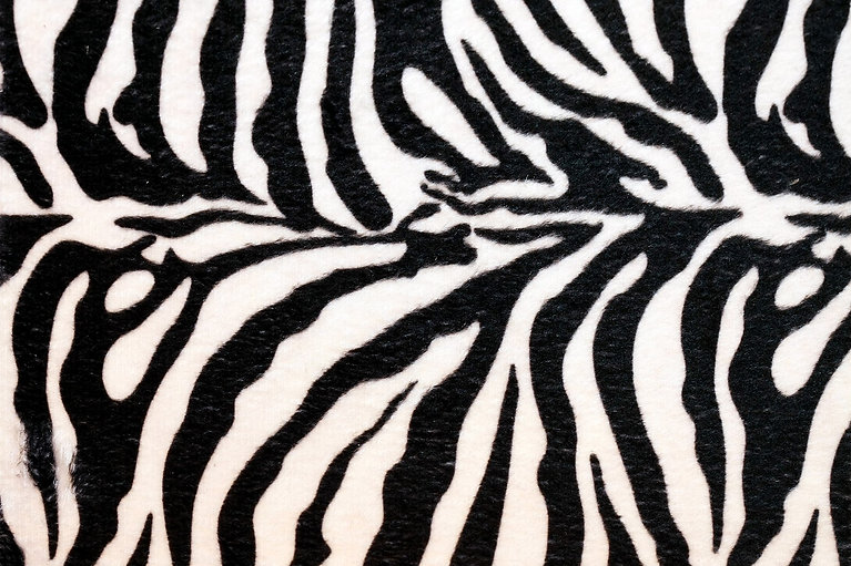 zebraprint.jpeg