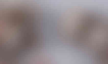 Damaged feather wreath conservation treatment