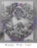 Damaged feather wreath conservation treatment