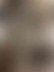 Image Source: Atlas Obscura