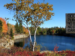 W9: It’s time to stretch your spine, get outside and join us for Week #9!