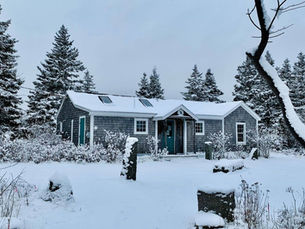 W5: It’s time to look alive, here comes Week #5!