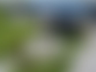 W8: Spring is at our gate and it’s time for Week #8!