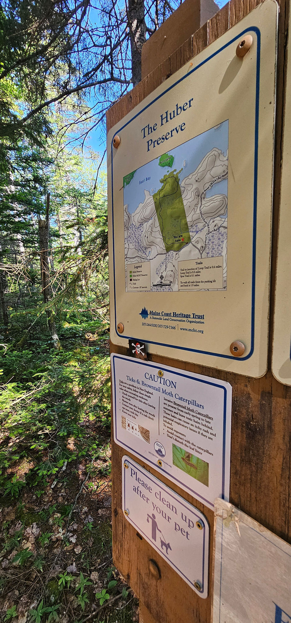 Hook’s flag flappin’ at the trailhead be proof ye’re on the right course!