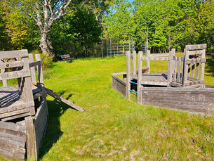 W17: Text a friend, form a team, you can win Week #17!