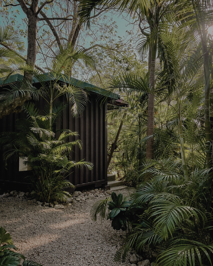 garden area at Green Sanctuary Hotel in Nosara Costa Rica