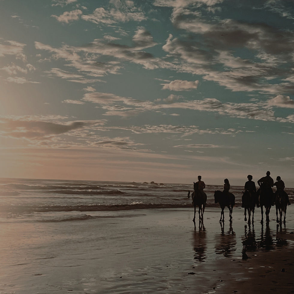 sunset horseback riding on playa Guiones