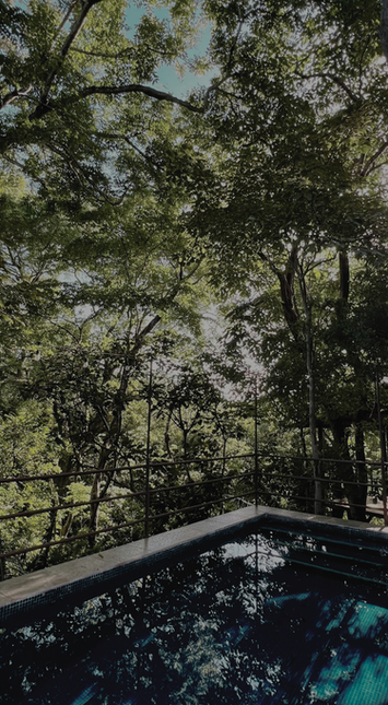 pool at hotel near Playa Guiones Nosara Costa Rica