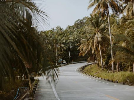 A winding road surrounded by lush tropical palms