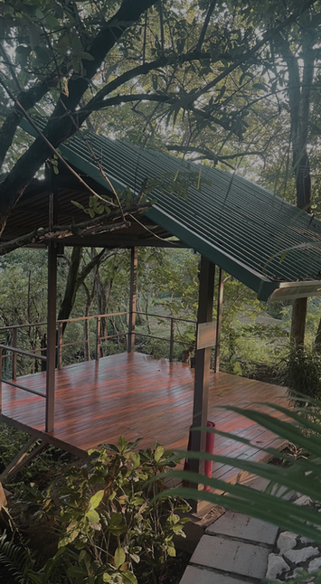 yoga shala in tropical garden hotel Nosara Costa Rica