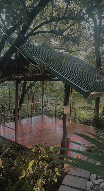 yoga shala in tropical garden hotel Nosara Costa Rica