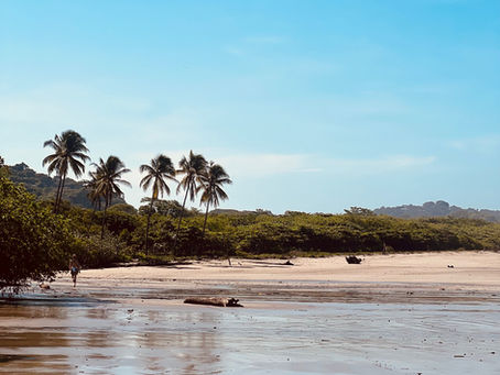playa Guiones famous palm trees