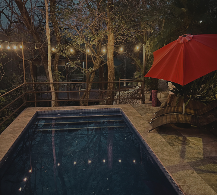 hotel pool surrounded by nature at Green Sanctuary Nosara