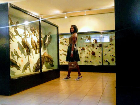 Nairobi National Museum, Snake park and Botanical gardens