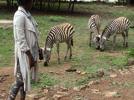 Kisumu Impala Sanctuary