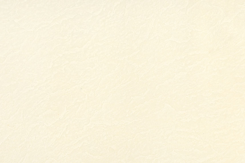 ivory texture_web_wix.jpg