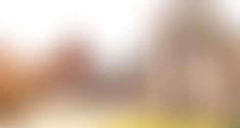 17 More Suits Filed in Perlitz Settlement