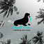 Writer: Seal Pro Painting
