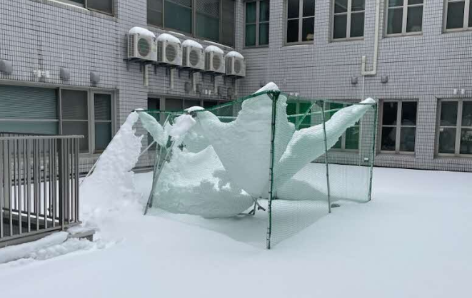 雪でつぶれたドローン用ケージ
