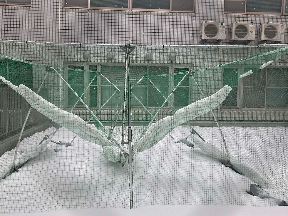 雪が重かった