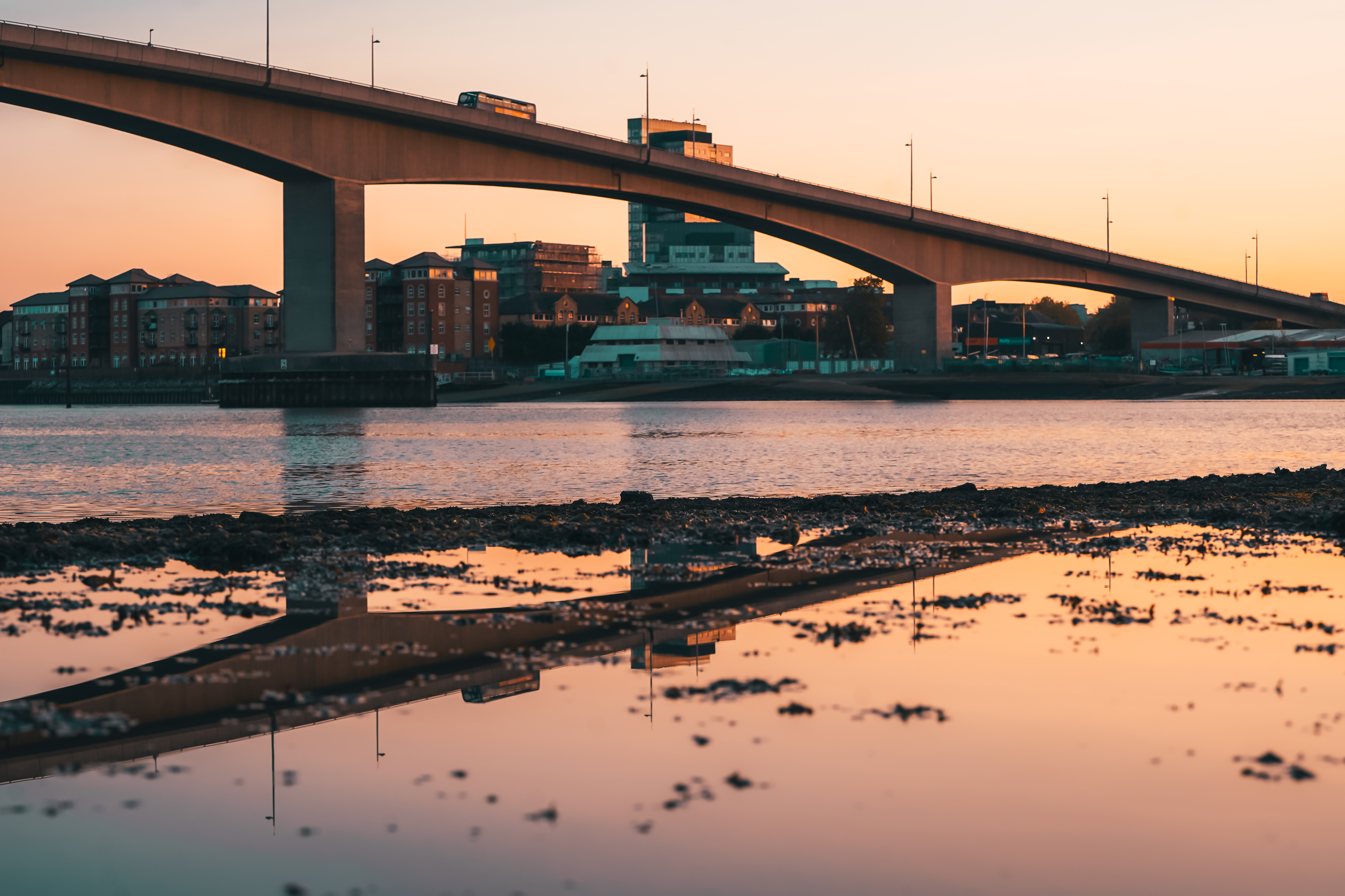 New Generation Martial Arts - NGMA photo