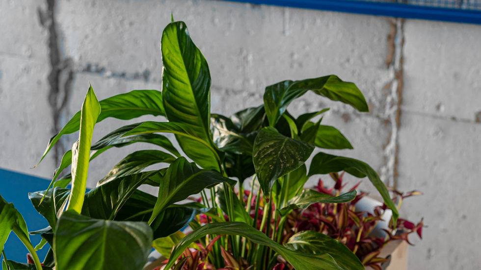 Aménagement bureau sur mesure, mobilier de bureau personnalisé, design intérieur entreprise, agencement professionnel, conception de bureaux modernes, fabrication mobilier haut de gamme, espace de travail ergonomique, optimisation d’espace, laquage sur mesure, mobilier acoustique, bureau sur mesure, décoration bureaux entreprise, aménagement open space, mobilier design, agencement espace professionnel, conception sur mesure, meubles haut de gamme, fabrication française, NEKA Concept, mobilier entreprise personnalisé, agencement bureaux, mobilier ergonomique, design contemporain, espace de travail inspirant, mobilier fonctionnel, meubles professionnels, solutions d’aménagement bureau.