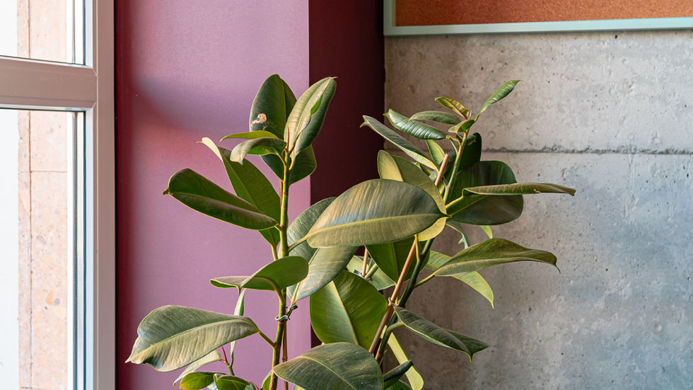 Aménagement bureau sur mesure, mobilier de bureau personnalisé, design intérieur entreprise, agencement professionnel, conception de bureaux modernes, fabrication mobilier haut de gamme, espace de travail ergonomique, optimisation d’espace, laquage sur mesure, mobilier acoustique, bureau sur mesure, décoration bureaux entreprise, aménagement open space, mobilier design, agencement espace professionnel, conception sur mesure, meubles haut de gamme, fabrication française, NEKA Concept, mobilier entreprise personnalisé, agencement bureaux, mobilier ergonomique, design contemporain, espace de travail inspirant, mobilier fonctionnel, meubles professionnels, solutions d’aménagement bureau.