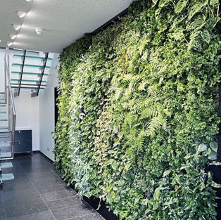 green wall with plant light