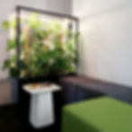 Lasfera CUBE planted mit Monstera-Pflanzen als Raumtrenner in einem modernen Büro.