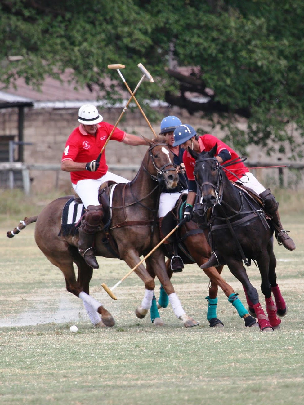Safari Polo Tournament (128)