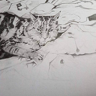 Lazy cat