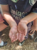 a child holding a newt at wildbound forest school