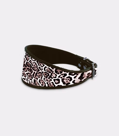 Dog Collar 