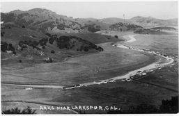 Arks near Larkspur, Cal.jpeg