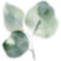 Leaf Graphic Flipped.png