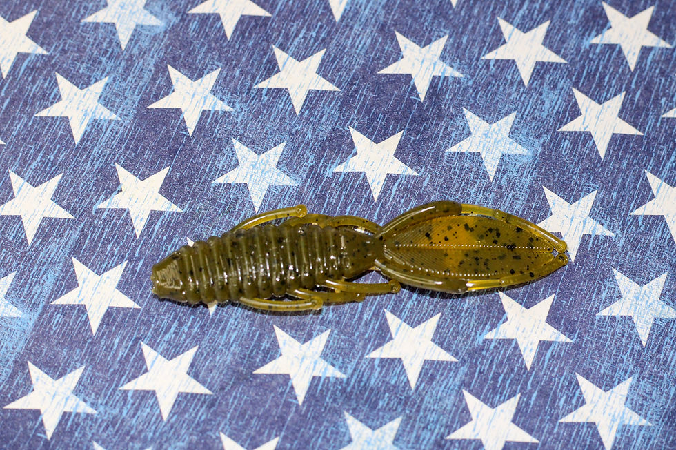 Thumbnail: FLUTTER BUG - GREEN PUMPKIN 